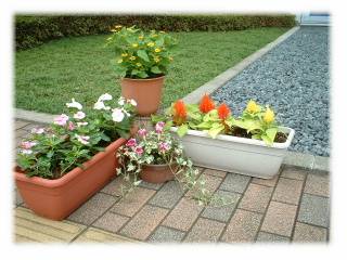 花･観葉植物のレンタル･リース「花と緑」in栃木